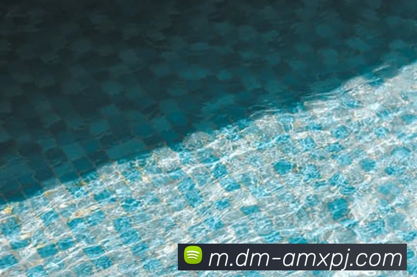 新葡京娱乐APP 封面图